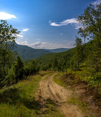 Fototapeta premium Lonely dirt road in a forested valley on a warm summer day in Norway