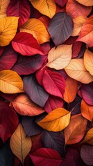 Obraz premium Vibrant autumn leaves scattered across a natural background