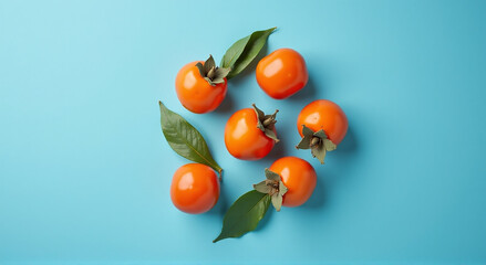 tomatoes on a vine