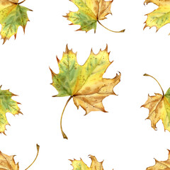 Seamless Autumn Maple Leaves Pattern on White Background