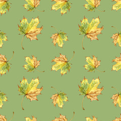 Seamless Autumn Maple Leaves Pattern on Green Background