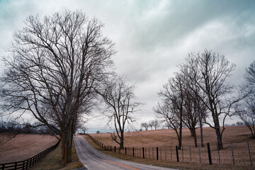 Rural landscape with bare trees and road seen from Kentucky