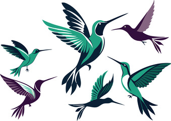 Humming bird silhouette vector illustration