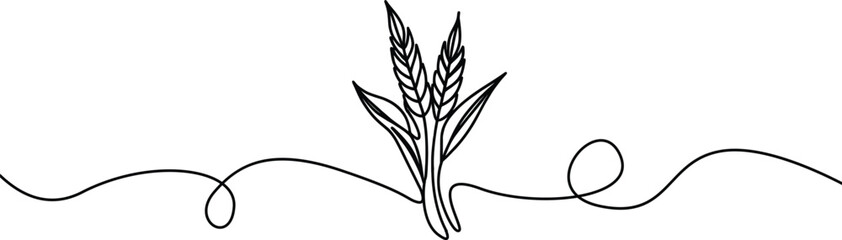 Ears of  wheat  one continuous line drawing .Fall harvest line art. Vector  one line of spikelet . Thanksgiving symbol.Grain.