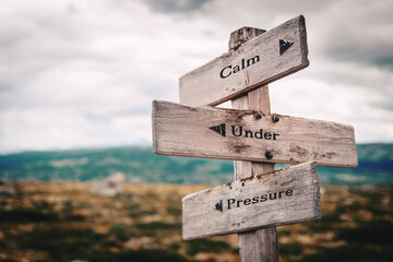 calm under pressure text quote on wooden directional signpost outdoors in nature