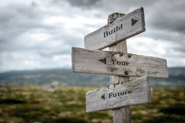 build your future text quote on wooden directional signpost outdoors in nature
