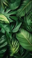 Dense Tropical Leaves with Dark and Moody Lighting