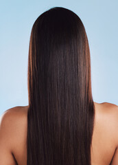 Fototapeta premium Salon, hair and back of woman in studio for growth, wellness and keratin treatment for texture. Hairdresser, salon aesthetic and isolated person with shine, cosmetics and health on blue background