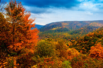 Ohiopyle State Park in Autumn, Pennsylvania