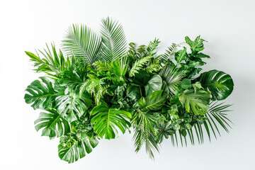 Fototapeta premium Lush green tropical plants bush floral arrangement on white background.