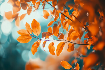 Orange fall leaves in park, autumn natural background.