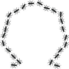 Group of black ants is making a circle on a white background, leaving an empty space in the middle