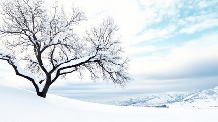 Solitary Bare Tree Silhouetted Against a Snowy Landscape and Cloudy Sky