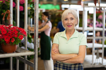 Portrait of contented elderly woman in a greenhouse where begonias are grown