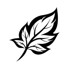 Leaf Silhouette Icon - Transparent Background 