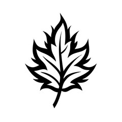 Leaf Silhouette Icon - Transparent Background 