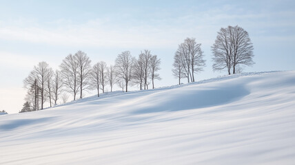 Fototapeta premium 美瑛の冬の静かな風景