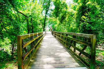 Fototapeta premium Macon, Georgia, USA- 07 20 2024: The landscape of Ocmulgee Mounds National Historical Park