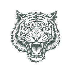 Obraz premium Vector Sketch of Tiger Head, Hand-Drawn Wild Animal Illustration