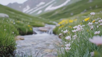 At sunrise, gentle water cascades down rocks amidst blooming wildflowers, creating a serene natural display in a peaceful valley