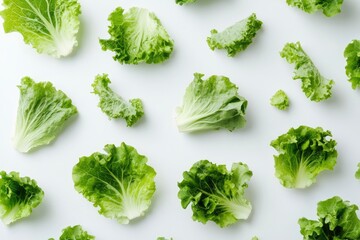 green lettuce leaves on white background for salad , ai