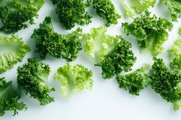 Obraz premium green lettuce leaves on white background for salad , ai