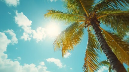 Palm trees in tropical sunny beach and tropical sea in Paradise island Summer vacation and tropical beach concept : Generative AI