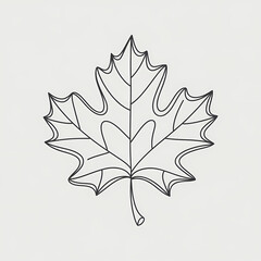 Fototapeta premium Minimalist Line Art Maple Leaf, isolated on white background 
