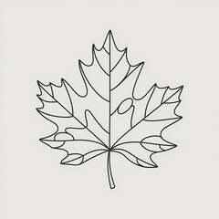 Fototapeta premium Minimalist Line Art Maple Leaf, isolated on white background 