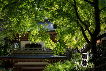 鎌倉249　浄智寺15　鐘楼門