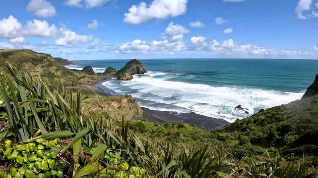 Te Henga Walkway: Scenic Coastal Landscape with Native Plants of Waitakere Ranges, New Zealand's Rugged Coastal Landscape