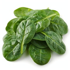 Obraz premium Group of green fresh spinach leafs on a white background.