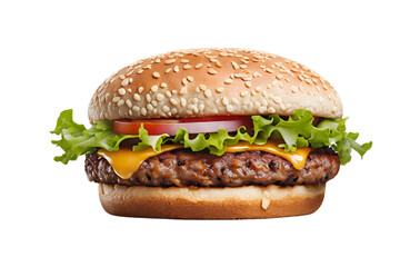 Burger on transparent background