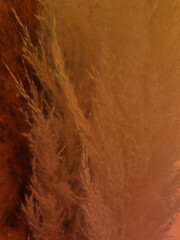 Orange gradient grain berdock image, Dream, Art, Decoration, Smooth, Light
