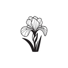 Isolated Iris Flower in Line Art Style - Vector Botanical Sketch.