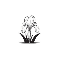 Isolated Iris Flower in Line Art Style - Vector Botanical Sketch.