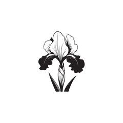 Isolated Iris Flower in Line Art Style - Vector Botanical Sketch.