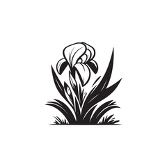 Botanical Iris Outline - Elegant Vector Flower Illustration.