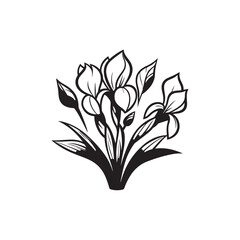 Vector Illustration of a Beautiful Iris Flower - Botanical Line Drawing.