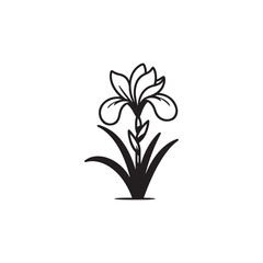 Simple Botanical Iris Flower Illustration - Clean Vector Line Art.