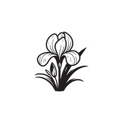 Isolated Iris Flower Design - Linear Botanical Vector Sketch.