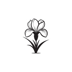 Botanical Iris Flower Outline - Linear Vector Sketch on White.