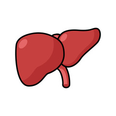 Human heart anatomy icon for app or web