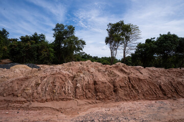 Building soil destroying jungle and rainforest for human habitation and settlements , with few remaining native trees