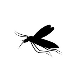 Mosquito Silhouette 
