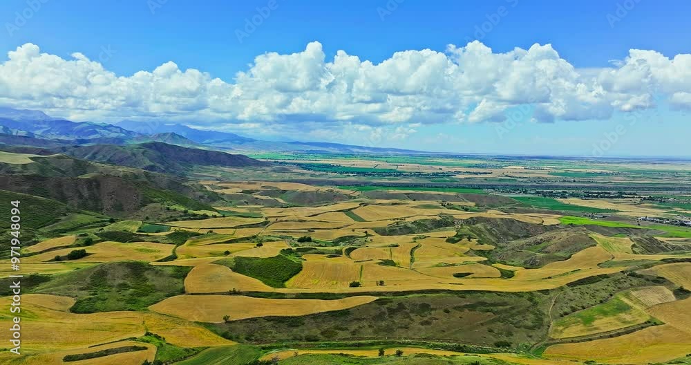 Wall mural aerial view of yellow wheat fields and mountain natural landscape in xinjiang. farmland scenery on t