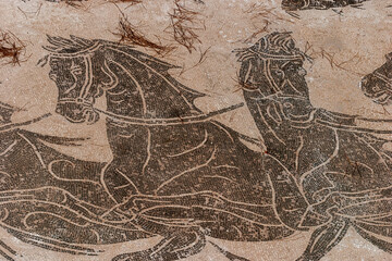 Mosaics at Ostia Antica Rome
