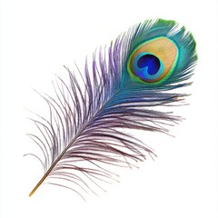 Obraz premium majestic peacock feather close up marco good for design. Isolated on white background