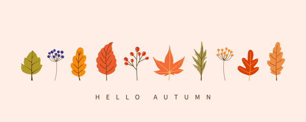 Hello autumn background vector illustration for web and social media