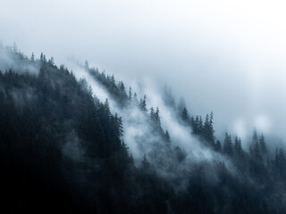 fog in the mountains
